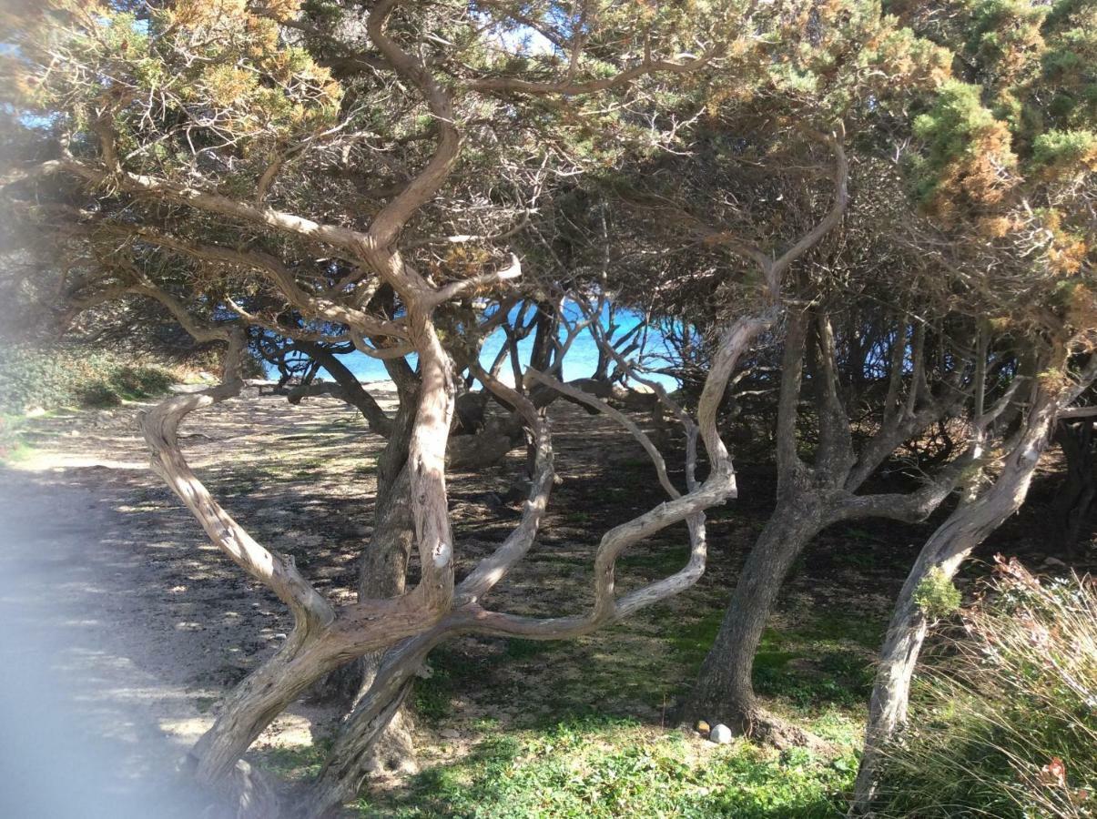 Casa Cristina Olbia Costa Smeralda Murta Maria Bagian luar foto
